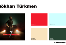 Renk Paleti #17: Gökhan Türkmen – 7 gökhan-türkmen-7-renk-paleti-kayitdisi.co