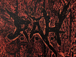 rah-abkountry-yeni-album-yayinda-kayitdisico