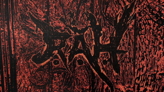 rah-abkountry-yeni-album-yayinda-kayitdisico
